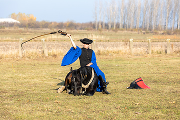 Image showing Hungarian csikos horseman in traditional folk costume