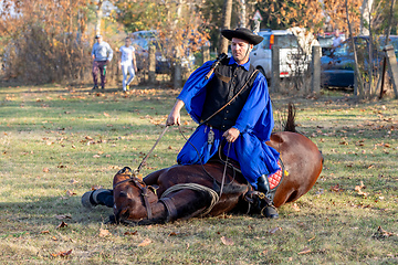 Image showing Hungarian csikos horseman in traditional folk costume