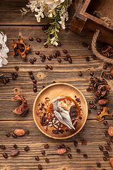 Image showing Mini round chocolate and coffee cake