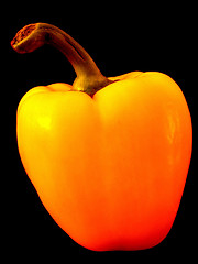 Image showing paprika