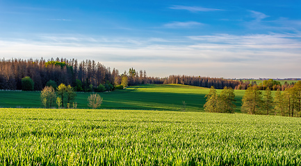 Image showing Beautiful green spring rural landscape