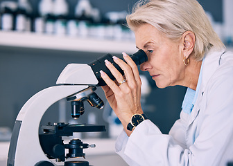 Image showing Microscope, research and woman scientist looking for sample analysis or experiment in a laboratory for a medical project. Science, equipment and professional test bacteria or DNA in a chemistry lab