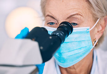 Image showing Mask, research and woman with a microscope, science and studying virus with experiment, check results and cure for bacteria. Person, scientist or researcher with lab equipment, face cover and vaccine