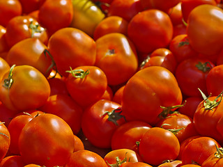 Image showing fresh tomatoes