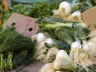 Image showing fresh spices