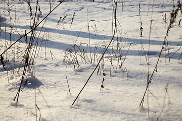 Image showing snow and ice covered grass