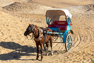 Image showing horse chariot in desert, Giza, Egypt