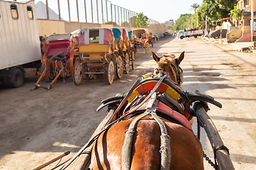 Image showing horse chariot in street of Giza Cairo, Egypt