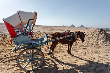 Image showing horse chariot in desert, Giza, Egypt