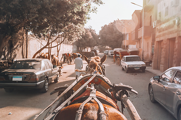 Image showing horse chariot in street of Giza Cairo, Egypt