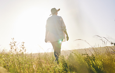 Image showing Back, agriculture and a woman walking on a farm for sustainability or growth in the morning with flare. Farming, sunrise and female farmer on a nature landscape for eco friendly harvesting in season