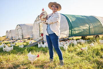 Image showing Farm, chicken and portrait of woman in field, countryside and nature for small business, growth and ecology. Agriculture, sustainable farming and person with bird for free range poultry production