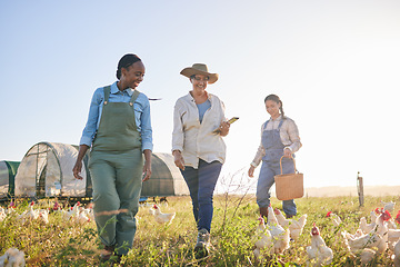 Image showing Agriculture, chicken and women for harvest in farm, countryside or nature for protein and eggs. Agro business, sustainable farming and farmers do inspection of birds for free range poultry production