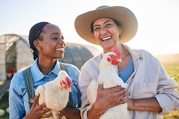 Image showing Farm, happy and women with chicken in nature, countryside or field for wellness, growth or ecology. Agriculture team, sustainable farming and people for collaboration in free range poultry production