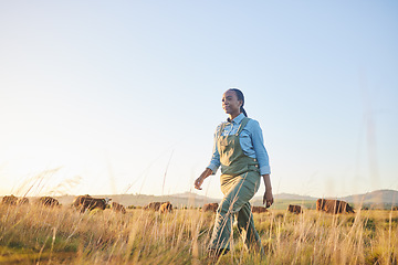 Image showing Woman, farmer and walking in countryside on grass field with cow and cattle worker. African female person, and agriculture outdoor with animals and livestock for farming in nature with mockup space