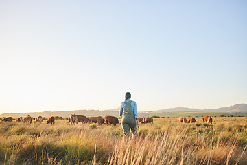 Image showing Woman, farmer and walking in countryside, blue sky and grass field with cow and cattle. Female person, back and agriculture outdoor with animals and livestock for farming in nature with mockup space