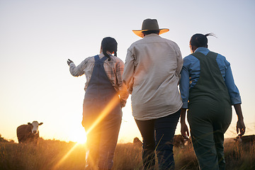 Image showing Women, farmer group and walking in countryside on grass field at sunset with cow and cattle. Female friends, back and agriculture outdoor with animals and livestock for farming in nature with freedom