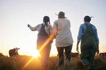 Image showing Women, farmer and walking in countryside on a grass field at sunset with cow and cattle. Female group, back and agriculture outdoor with animals and livestock for farming in nature with freedom