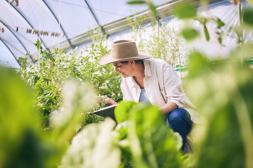 Image showing Plants, greenhouse and woman on farm with sustainable business checklist, nature and happiness in garden. Agriculture, gardening and female farmer with smile, green leaves and agro vegetable farming.