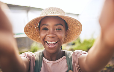 Image showing Farming, smile and selfie of black woman in greenhouse, sustainable small business and agriculture. Portrait of happy farmer at vegetable farm, agro career growth in summer and plants in Africa.