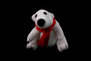 Image showing white bear 