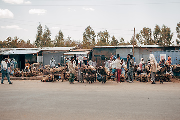 Image showing Ethiopian people selling firewood, Ethiopia Africa