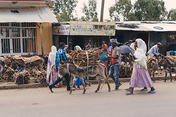 Image showing Ethiopian people selling firewood, Ethiopia Africa