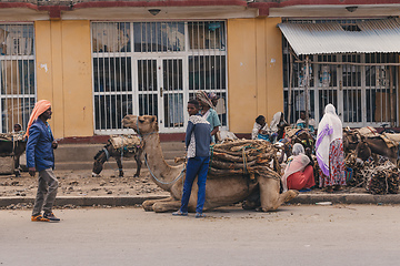 Image showing Ethiopian people selling firewood, Ethiopia Africa