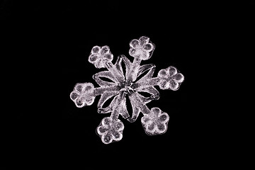 Image showing WHITE SNOWFLAKE CLOSE UP