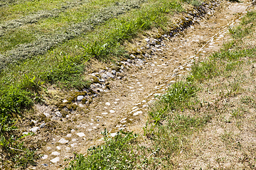 Image showing dry grass