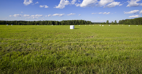 Image showing preparation of haylage