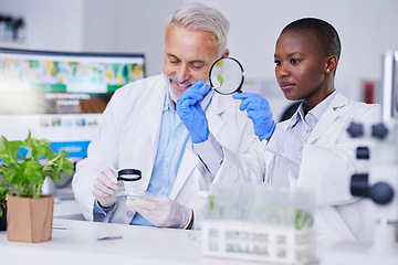 Image showing Research, scientists and team for ecology science, plant innovation and studying in lab. Together, diversity and man and woman with agriculture for futuristic environment analysis or sustainability