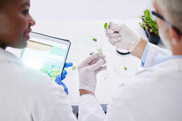 Image showing Scientist, science and hands, test tube and leaves, black woman and senior man with medical research in lab. Mentor, learning and plant sample, environment study and collaboration for investigation