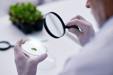 Image showing Scientist, hand and plant with petri dish and magnifying glass research for agriculture in a laboratory. Leaf, data analysis and tube with science and studying for eco test and chemical ecology exam