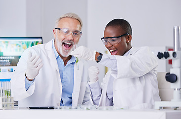 Image showing Scientist, people with test tube and plant, cheers and success, black woman and senior man, medical research in lab. Mentor, learning and leaf sample, environment study breakthrough and celebration