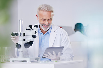 Image showing Science, laboratory and happy man with microscope, tablet and research with plants, biotech or sustainable medicine. Professional scientist with study on nature, growth and digital analysis of leaves