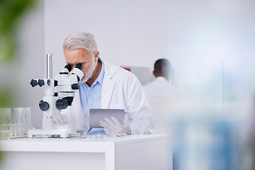 Image showing Science, laboratory and man with microscope, tablet and research with plants, botany or sustainable medicine. Professional scientist with study on nature, growth and digital analysis of leaves in lab