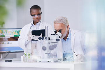 Image showing Science, black woman with tablet and man with microscope, biotech and research with plants for sustainable medicine. Scientist team in study on nature, growth and digital analysis of leaves in lab.