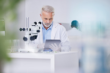 Image showing Biotech, laboratory and scientist with microscope, tablet and research with plants, botany or sustainable medicine. Professional science man with study on nature, growth and digital analysis in lab.