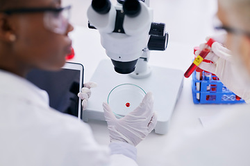 Image showing Science, blood and people with test tube by microscope for research, medical study and DNA in lab. Healthcare, pharmaceutical and scientist team with petri dish for data analysis, biology and sample