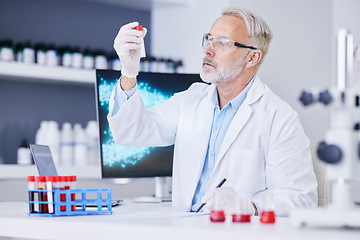 Image showing Science, blood sample and man with test tube in laboratory for research, medical study and DNA exam. Healthcare, pharmaceutical and senior scientist with vial for data analysis, medicine and biology