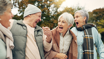 Image showing Friends, laughing and senior people in park for bonding, conversation and quality time together outdoors. Retirement, happy and elderly man and women in nature with funny joke, humor and happiness