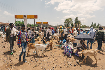 Image showing Ethiopian people on animal market, Ethiopia Africa