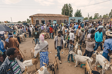 Image showing Ethiopian people on animal market, Ethiopia Africa