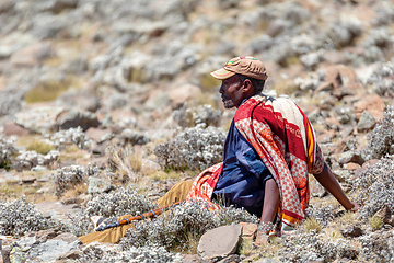 Image showing park scout with rifle in Simien Mountain, Ethiopia