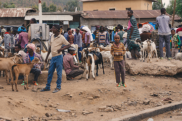 Image showing Ethiopian people on animal market, Ethiopia Africa