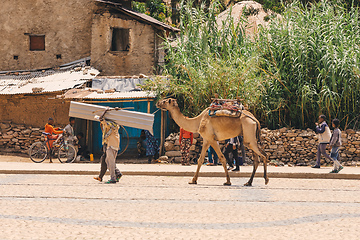 Image showing Man with camel transporting freight, Aksum, Ethiopia