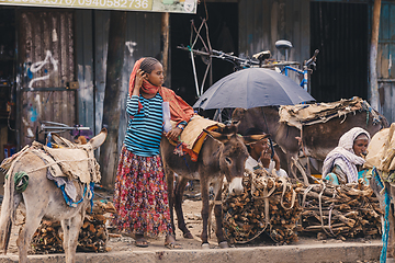 Image showing Ethiopian people selling firewood, Ethiopia Africa