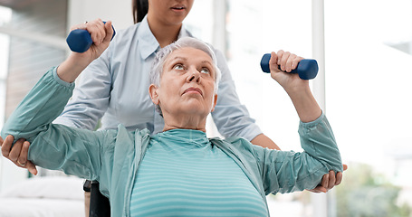 Image showing Woman with disability, physiotherapy and dumbbell exercise of healthcare rehabilitation, consulting or physical therapy assessment. Clinic, physiotherapist and support of senior patient in wheelchair