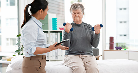 Image showing Physical therapy, senior patient with dumbbells and chiropractor with tablet, monitor progress and exercise. Help, support and women at clinic, weightlifting and elderly care with health and physio